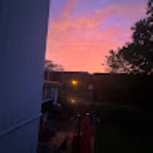 Meet your Posher, Dahlia